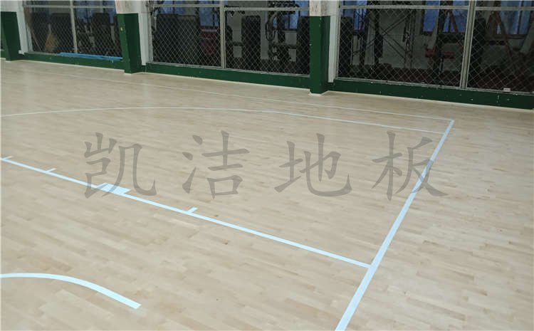 河北沧州体育学校体育馆木地板案例图片