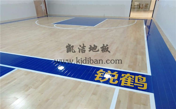 江苏盐城锐鹤青少年篮球俱乐部木地板项目