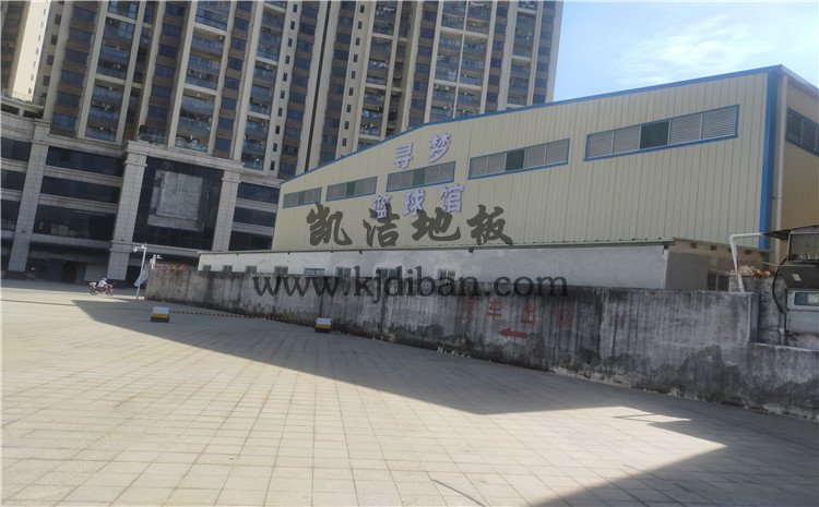 广东江门开平市寻梦篮球馆运动木地板